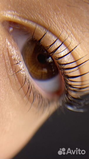 Ламинирование ресниц ботокс окрашивание ресниц