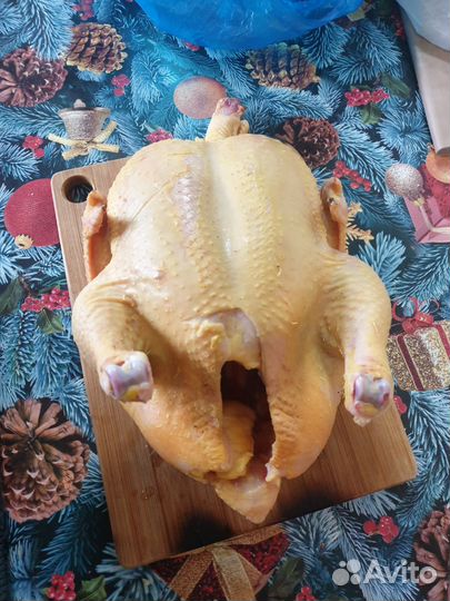 Мясо Броилера