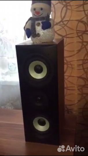 Центральный канал, колонка