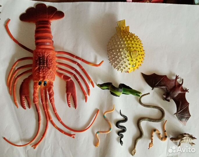 Лягушки, ягуаны, насекомые