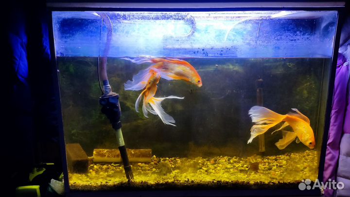 Продается аквариум 120 литров