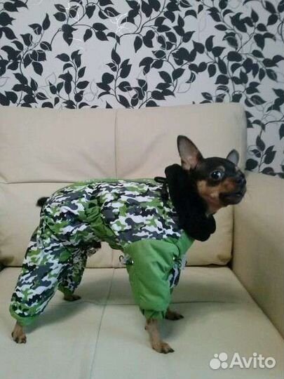 Комбинезон для маленькой собаки