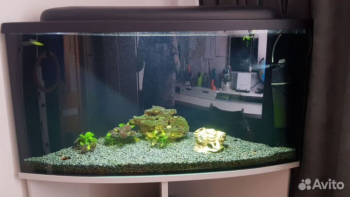 Аквариум для рыбок угловой