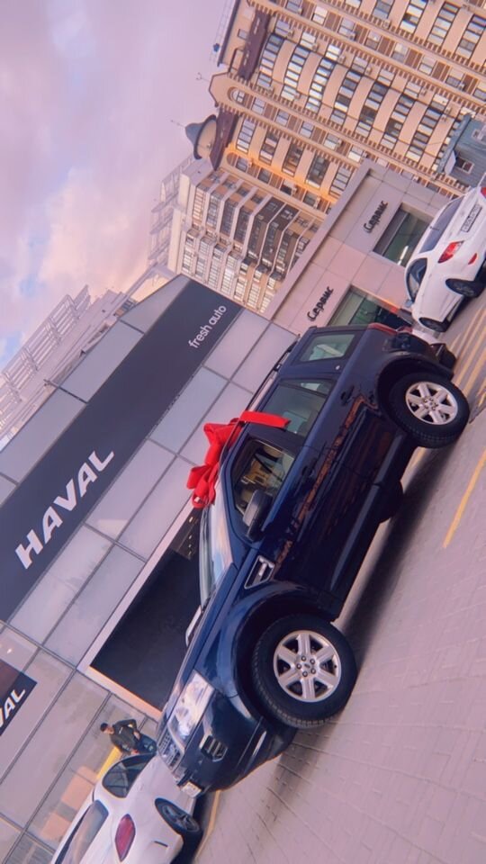 Land Rover Freelander: фото владельца