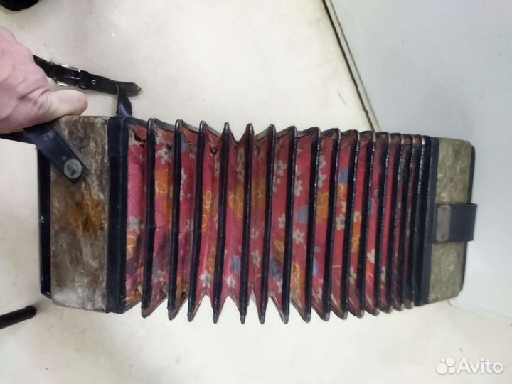 Гармонь СССР