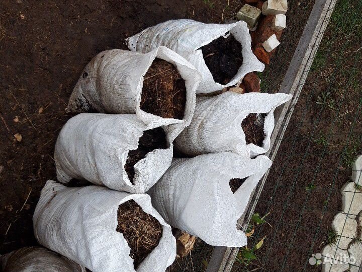 Конский навоз