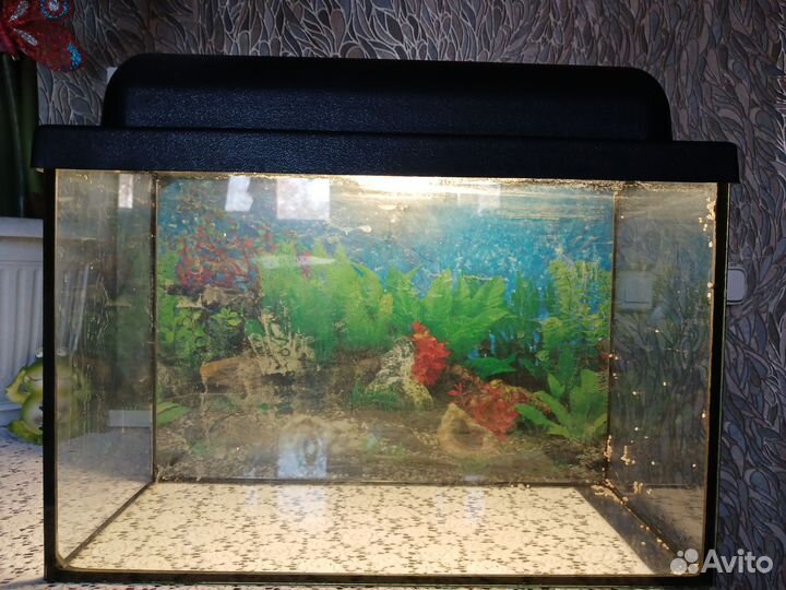 Аквариум с рыбками