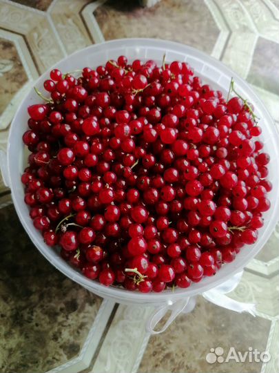 Смородина красная 2л-200р, 7л-700р