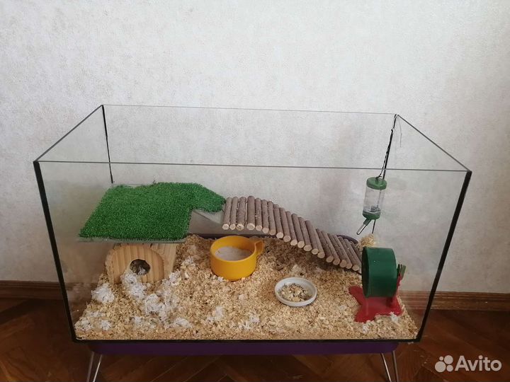Аквариум, домик для хомячка, домашних питомцев
