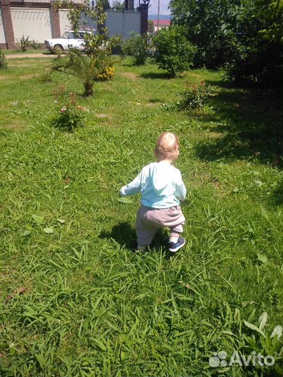 Бебиситтер. (Няня на час)