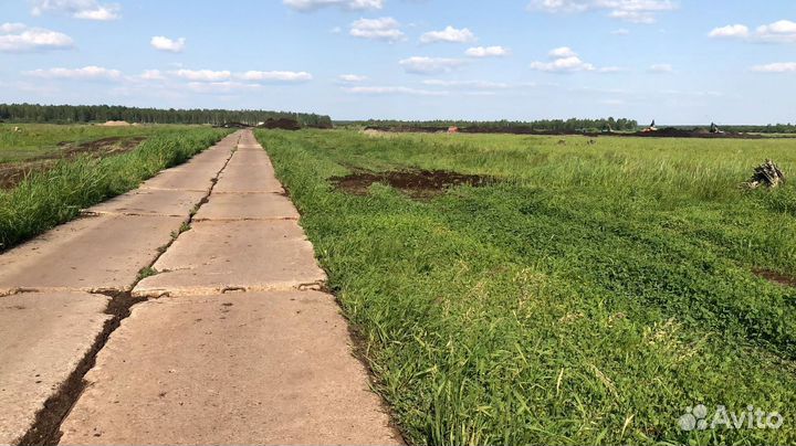 Торф плодородный, Почвогрунт, Чернозём