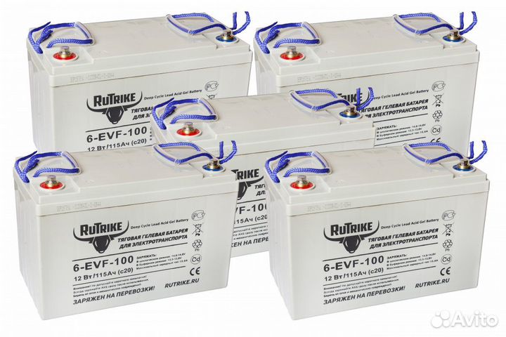 Комплект тяговых аккумуляторов RuTrike 6-EVF-100