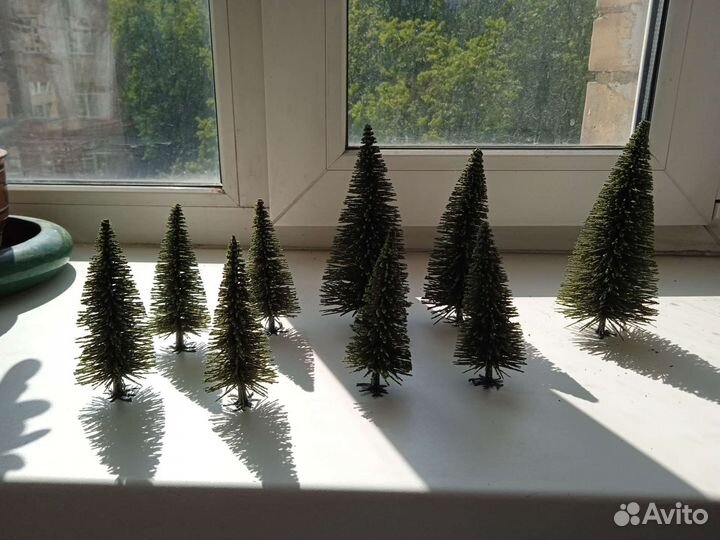 Можжевельник, ёлки, деревья