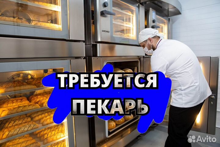 Пекарь с ежедневной оплатой. zj055