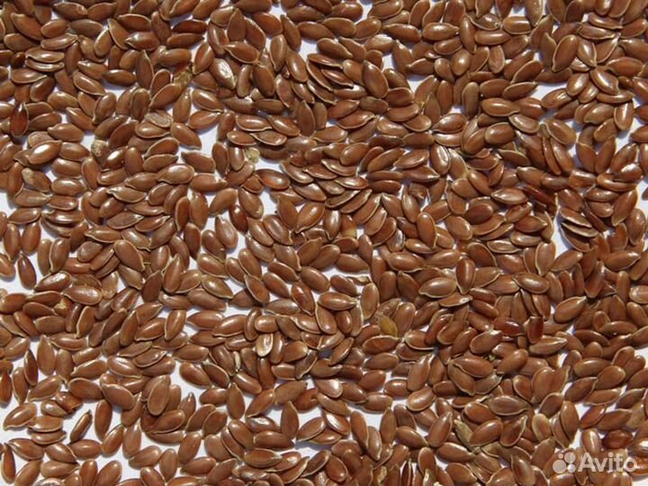 Семена льна
