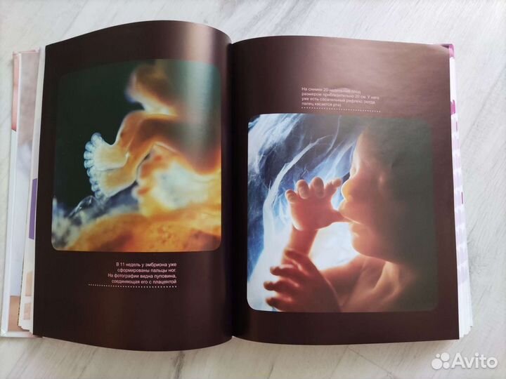 Книга по беременности
