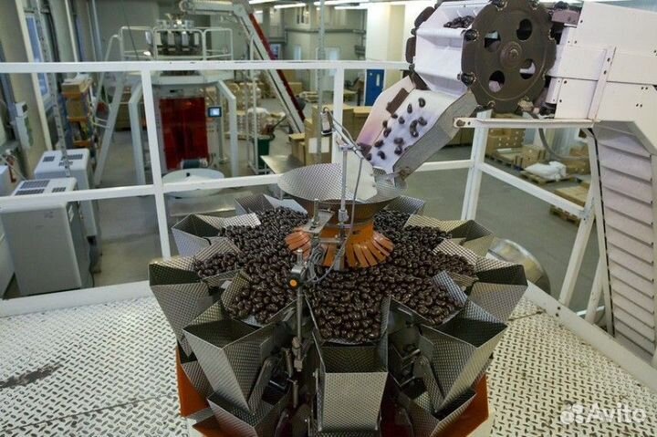 Экскурсия в Калугу 