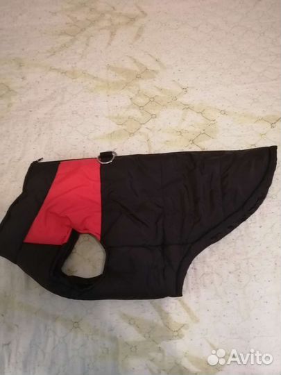 Жилетка для средних собак