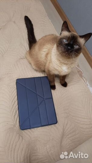 Samsung Galaxy Tab S7 Plus