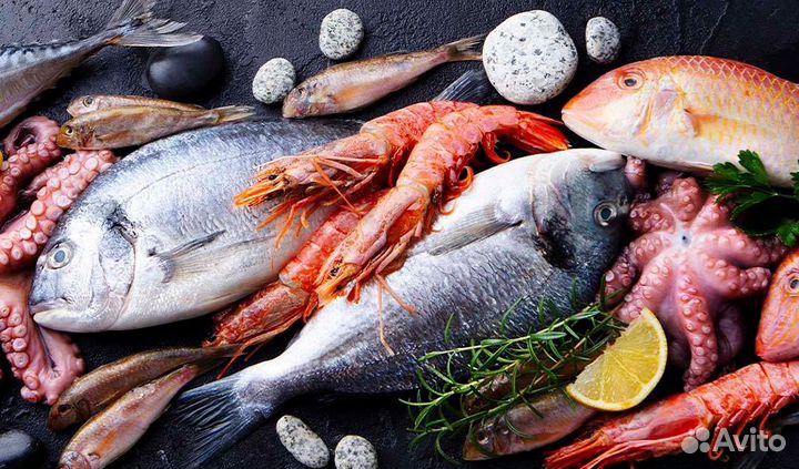 Готовый бизнес: прибыльный рыбный магазин