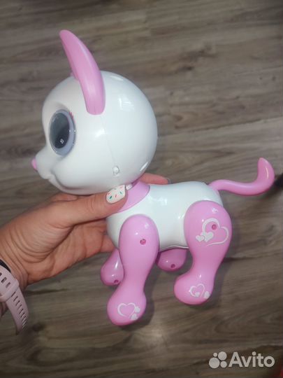 Интерактивная кошка