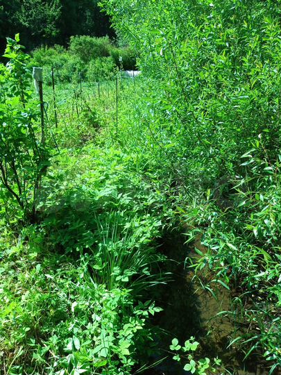 Дача 30 м² на участке 7,5 сот.