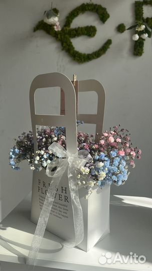 Гипсофила радужная