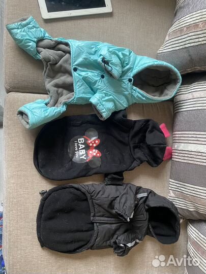 Одежда для собак