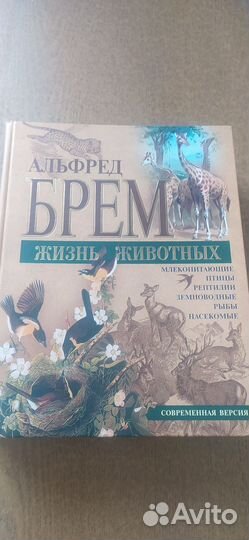 Книга о животных