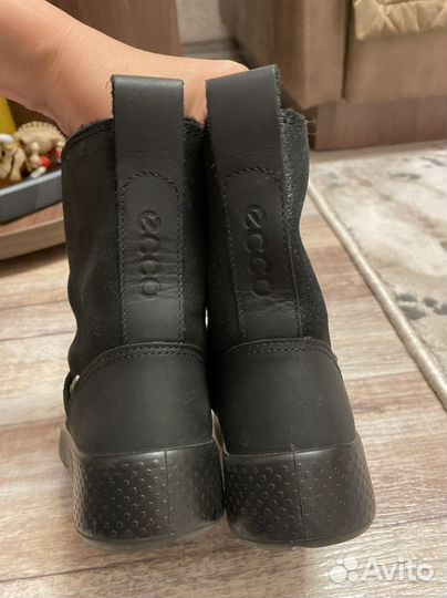 Ecco сапоги