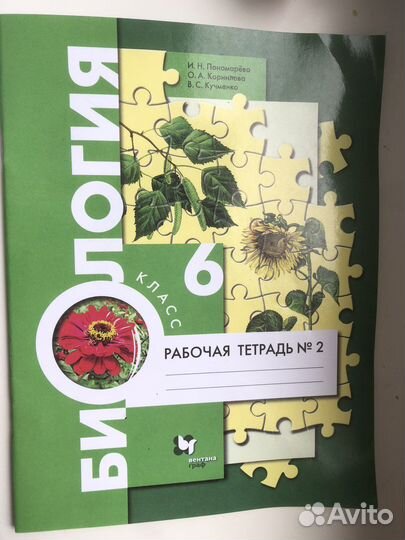 Рабочая тетрадь по биологии 6 класс