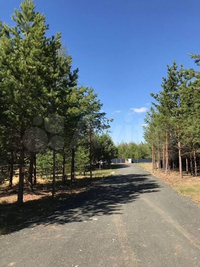 Участок 8 сот. (ИЖС)