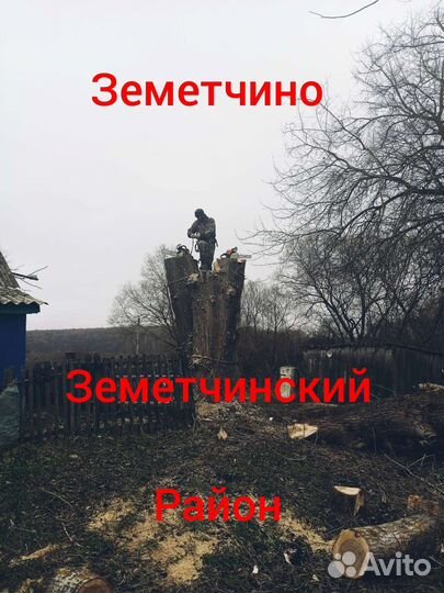 Спил деревьев.Расчистка,планировка участков