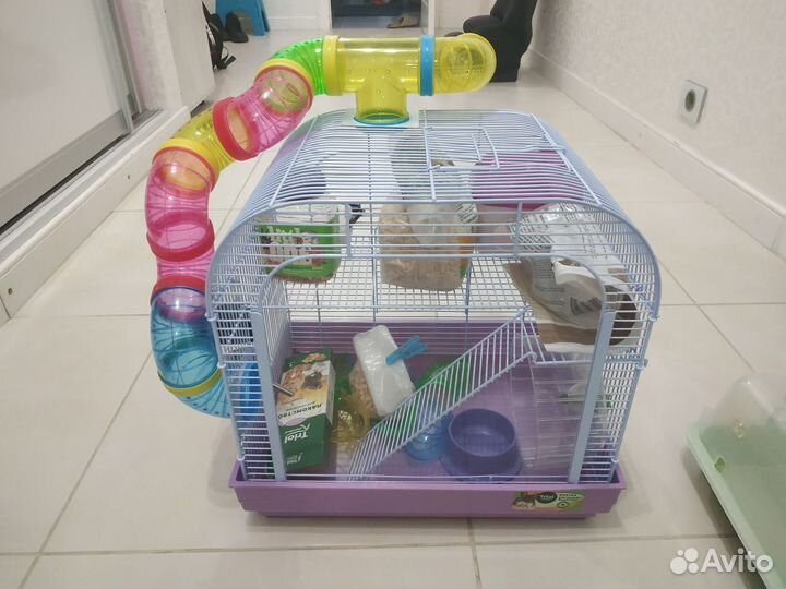 Клетка для грызунов