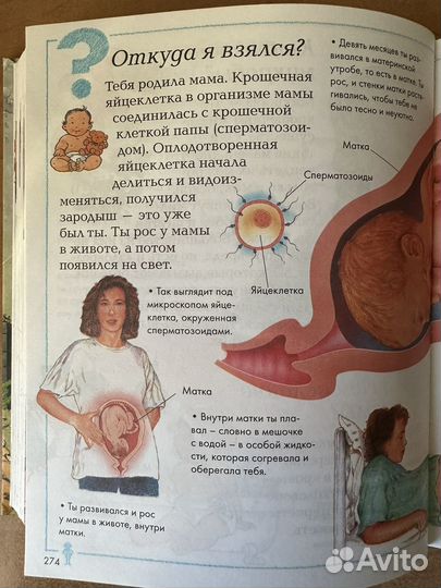 Детская энциклопедия