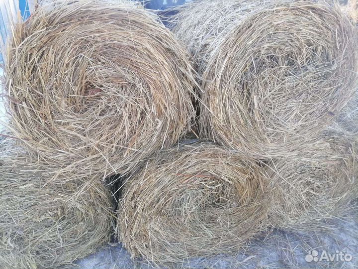 Сено в рулонах