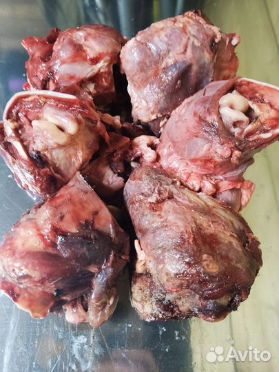 Мясо для собак