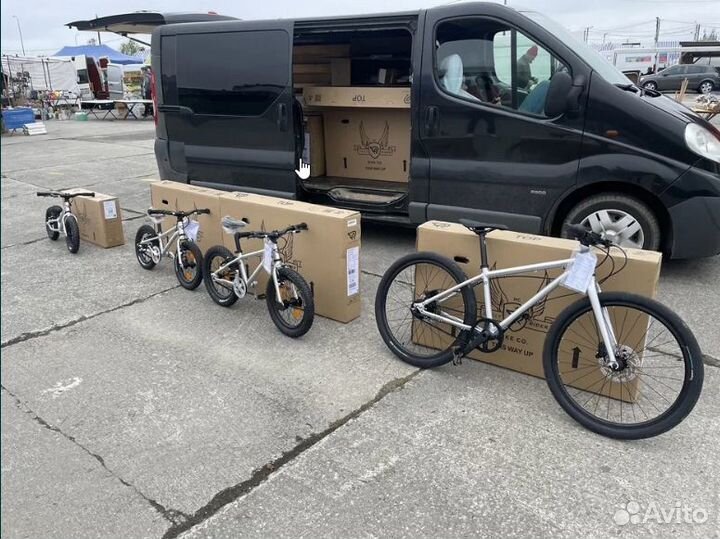 Детский велосипед Early Rider Belter 20 4x