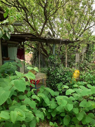 Участок 1,5 сот. (ИЖС)