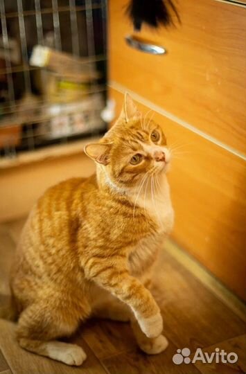 Кто у нас Солнышко