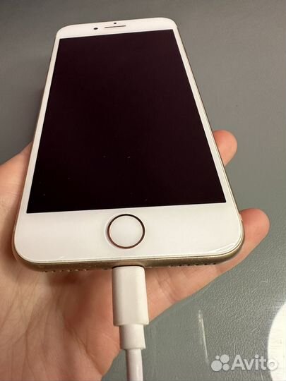 iPhone 8, 64 ГБ