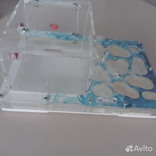 Формикарий для муравьев