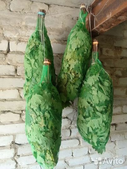 Веники дуб,берёза