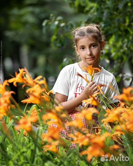 Godox Witstro AD360II-C + Батарейный блок PB96 2шт