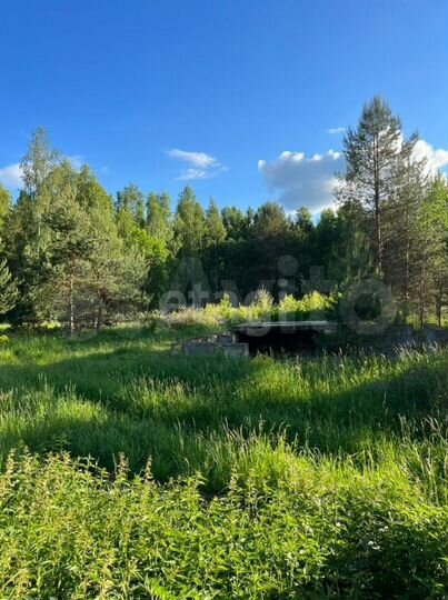 Участок 15 сот. (ИЖС)