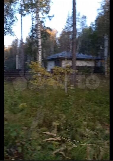 Участок 10 сот. (СНТ, ДНП)