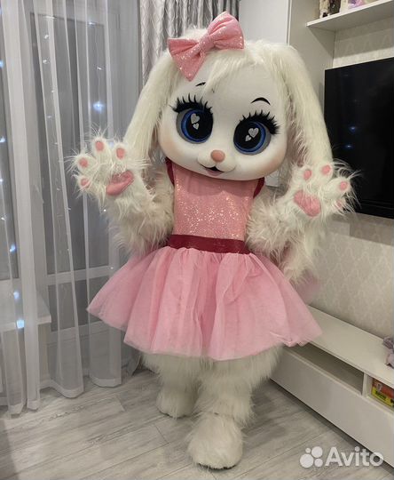 Поздравление от зайки