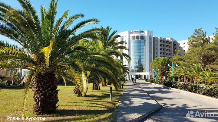 Санаторий Самшитовая Роща Абхазия г. Пицунда