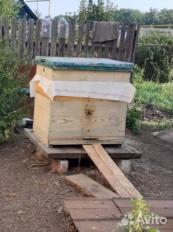 Улей для пчел