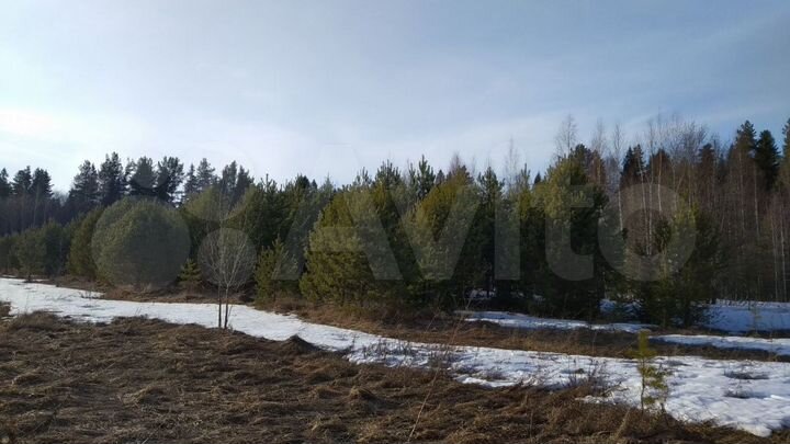 Участок 17,8 сот. (ИЖС)